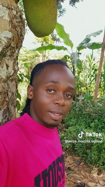 WISE MAZINA DYNASTY (@wise.mazina.ugand)’s videos with original sound - WISE MAZINA DYNASTY