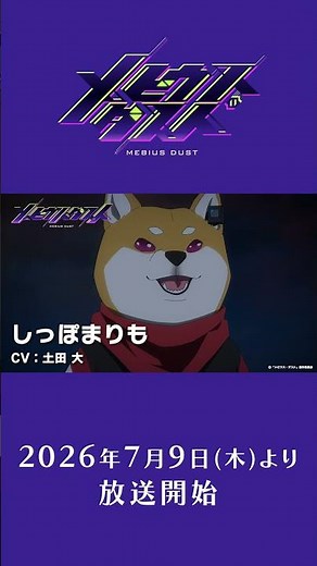TVアニメ「メビウス・ダスト」キャラクター紹介 しっぽまりも（CV： #土田 大 ）、テンロウ（CV： #塩口量平 ）、シラユキ（CV： #広橋 涼 ）