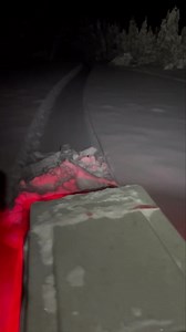 290K views · 6.3K reactions | What the heck is a reverse mullet!? Ha! Think I’ve been in the woods too long. | Silver Ace Sled Dog Kennel | Facebook