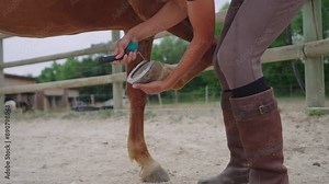 Cleaning Horse Hoof with Brush