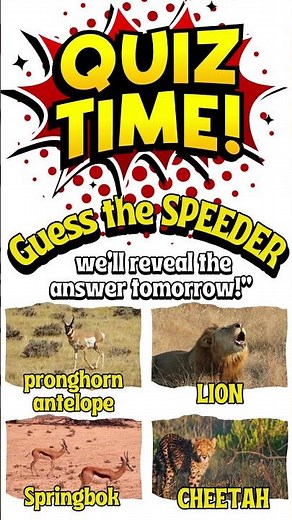 WHO’S THE REAL SPEED KING? #facts #landspeed #wildlife #interestingfacts #landspeeder #amazingfacts