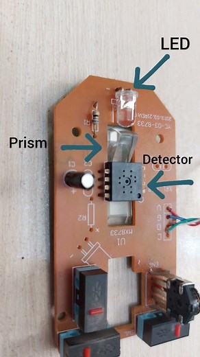 What is Inside of a Mouse?