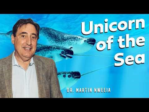 Dr. Martin Nweeia and the Real Unicorn of the Sea