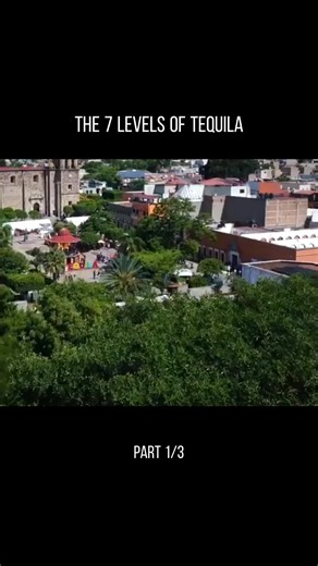 The 7 Levels of Tequila #Tequila #TequilaTypes #Agave #Cocktails #SpiritReview