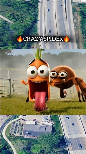🔥CRAZY SPIDER🔥 GOOGLE MAPS AND GOOGLE EARTH 🌎