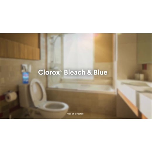 (6 pack) Clorox Bleach and Blue Toilet Bowl Cleaner Tablets, Rain Clean, 2 Count
