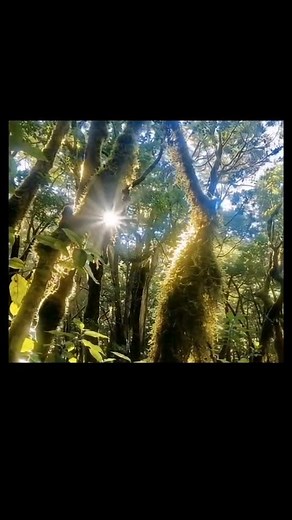 51K views · 120 reactions | Dicen que algunos lugares tienen algo que...