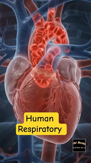 Human Respiratory system #science #generalknowledge #sciencefacts