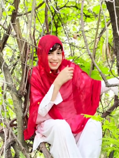 alalk da jabbar sakie