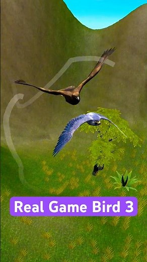 Bird Game 3 development - Day 2