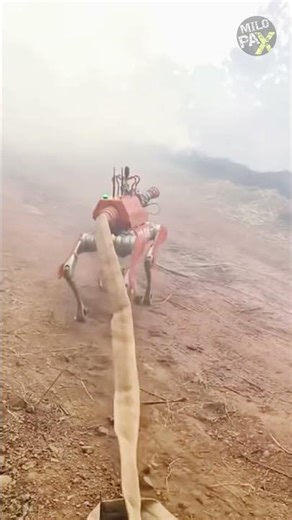 Is This the Most Heroic Robot Ever Built? 🤖🔥 Firefighting in Sichuan!