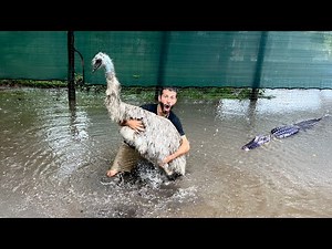 The RANCH FLOODED...