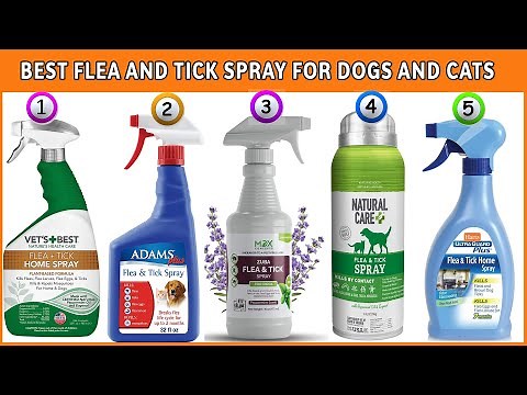 Best Flea And Tick Spray For Dogs And Cats-Vet Recommended