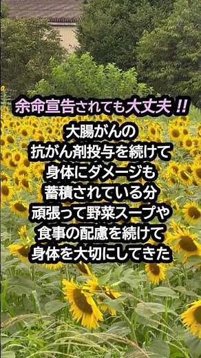 診察日2 #余命宣告 #がんサバイバー #ステージ４ #がん治療 #食事療法