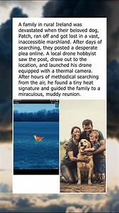 400K views · 7K reactions | A high-tech rescue for a furry friend. | To Catch a Cheater | Facebook