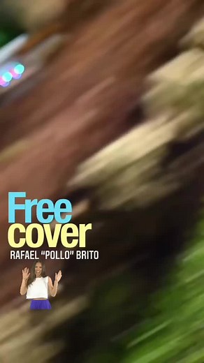 Free Cover Venezuela: Pollo Brito El Parrandón