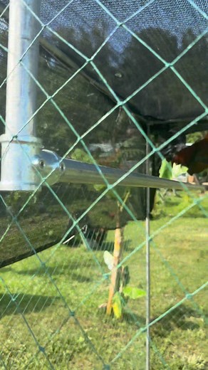 Collapsable flying pen using iron cast connector and gi pipe. 3/4 Dimension 2x2x2meters | Kpma Gamefarm