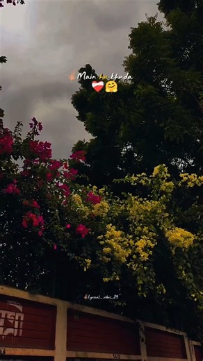 Pehla pyar tu mera tu hi aakhri sanam🥀❤️ || WhatsApp status❣️ || #shorts #love #shortsfeed