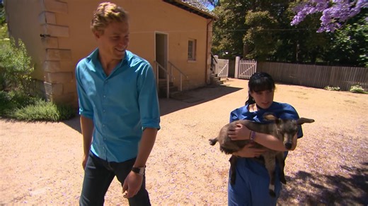 907K views · 29K reactions | Emotional goodbye between baby goat and vet nurse  | Bondi Vet | Facebook