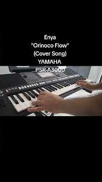 Yamaha PSR-A3000 Plays: Enya | Orinoco Flow (Sail Away) - (Irish Song) by David Hormadaly