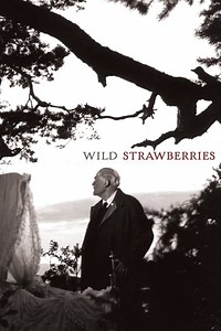 Stream Wild Strawberries (1957): Find it on Netflix, Prime Video, Hulu & more