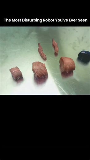 entertainment | This sci fi concept project shows a modular body built from organic parts that snap together like living blocks. It looks unsettling but... | Instagram