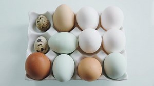 Second Term. Lesson 1: Soft and Hard Boiled Eggs