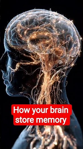 🧠 How Your Brain Stores Memories | 3D Animation Explained #brain #3danimation
