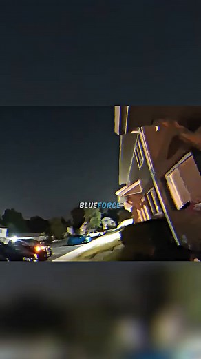 Dominos Delivery Chaos: A Pizza Incident Uncovered