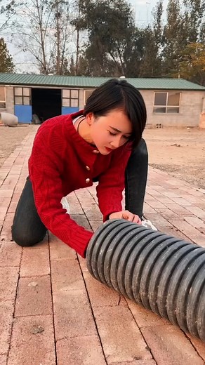 Viral Adorable Fat Rabbit overload of fluff! #funny #viral #bunny | Adorable Fat Rabbit