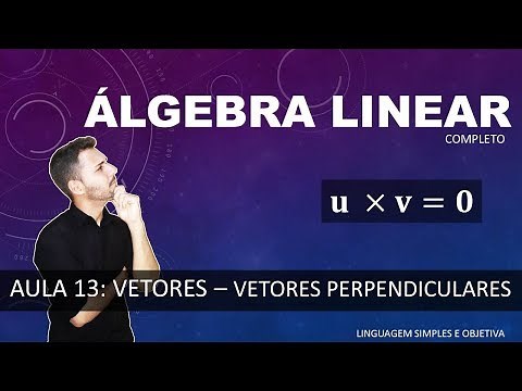 LINEAR ALGEBRA - Class 13 - Vectors - Perpendicular Vectors