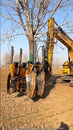 Japan’s Amazing Tree Relocation Machine #shots #facts