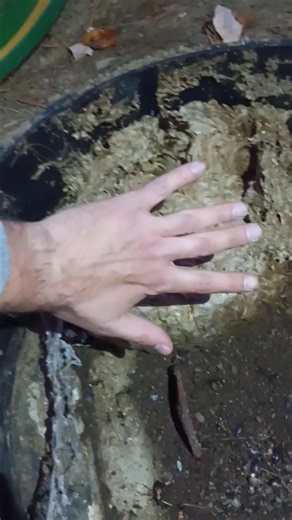 Jeff Littlefield on Reels