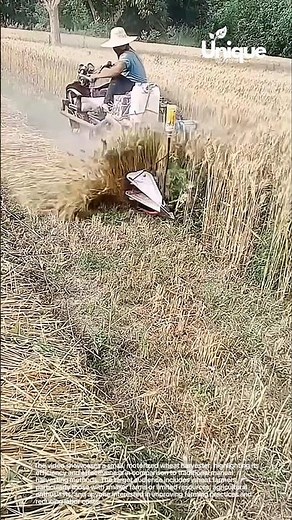 Revolutionary small wheat harvester: boost your harvest yield