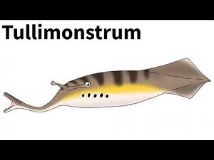 The Illinois State Fossil: Tullimonstrum