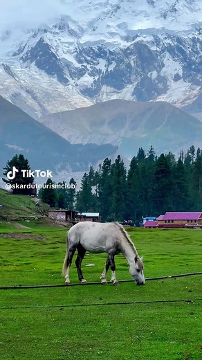 The beautiful fairy meadows - Nangaparbat 🏔️😍❤️ 𝐏𝐥𝐚𝐧 𝐲𝐨𝐮𝐫 𝐩𝐞𝐫𝐟𝐞𝐜𝐭 𝐜𝐮𝐬𝐭𝐨𝐦𝐢𝐳𝐞𝐝 𝐁𝐲 𝐚𝐢𝐫 𝐭𝐫𝐢𝐩 & 𝐛𝐲 𝐫𝐨𝐚𝐝 𝐭𝐫𝐢𝐩𝐬 𝐭𝐨 𝐝𝐢𝐟𝐟𝐞𝐫𝐞𝐧𝐭 𝐝𝐞𝐬𝐭𝐢𝐧𝐚𝐭𝐢𝐨𝐧𝐬 𝐢𝐧 𝐩𝐚𝐤𝐢𝐬𝐭𝐚𝐧 𝐰𝐢𝐭𝐡 𝐒𝐤𝐚𝐫𝐝𝐮 𝐓𝐨𝐮𝐫𝐢𝐬𝐦 𝐂𝐥𝐮𝐛 Skardu | Hunza | Fairy meadows | Astore minimerg | Naran kaghan | Kahsmir | Swat - Kalam | Shogran | Nangma valley Pakistan || K2 Base Camp Pakistan Direct flights available from Islamabad, Lahore & Karachi to skardu 1: Family Tour