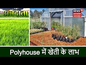 Annadata | Polyhouse में खेती के लाभ और महत्व पर जानकारी