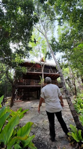 ¡Me hospedé en las mejores cabañitas de Tulum! Vayan a seguirlos en sus redes y no se pierdan de sus promociones. 🤩🙌🏼#TribuNómada #Tulum #H2Ojos #Cabañitas 🍃 H2Ojos Tulum | Tribu Nómada