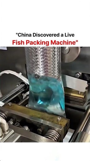 This machine can pack live fish 🐠 😮