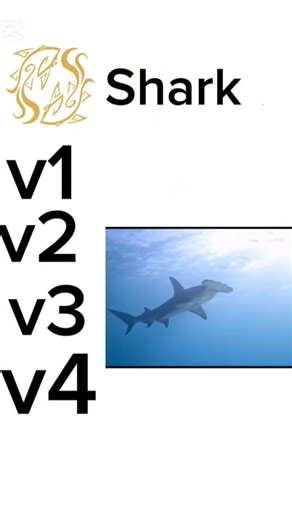 Evolution of the Shark 🦈🌊.. From V1 to the Monster V4! 🔥#Roblox #gaming #sharkv4 #bloxfruits