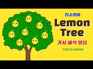 Lemon Tree Pop Song English with Lyrics, Interpretation, Pronunciation, and Principles