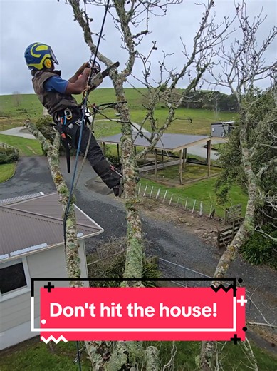 How to Cut Long Tree Branches into Small Pieces Safely
