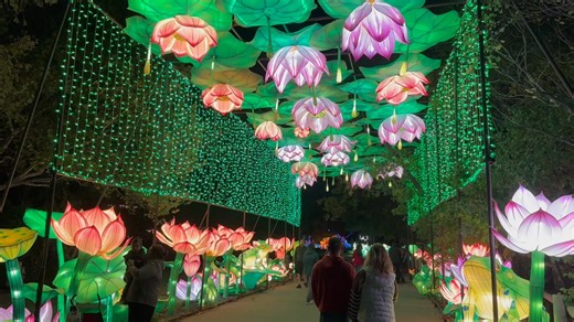 Jason Shepard on Reels | Facebook