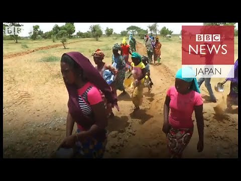 アフリカに巨大な緑の壁 地元経済再生へ