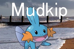 Mudkip 0.1 Beta 2 Patcher file