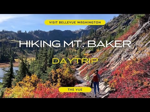 Epic PNW Day Trip to Mt. Baker