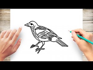 Advanced Drawing A Crow Step by Step