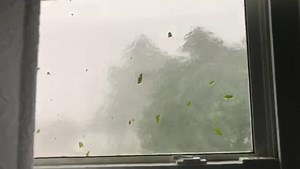 This was from the Bolingbrook Area after 2:00pm this afternoon during the severe thunderstorm. Video courtesy of Anthony Kasper. Posted by Director Jeremy Hylka | Joliet Weather Center