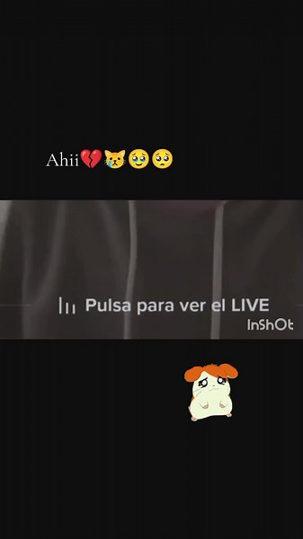 Videos de jordan_2012 (@jordanc.a) con “sonido original - jordan_2012”