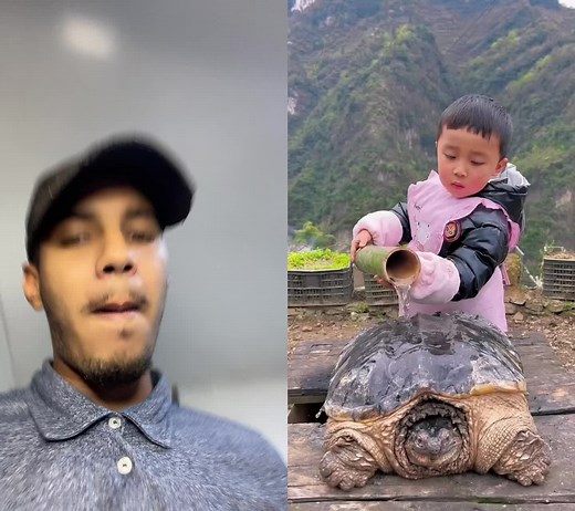 Cuentas recomendadas